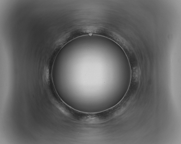 X0000113090589200909041151