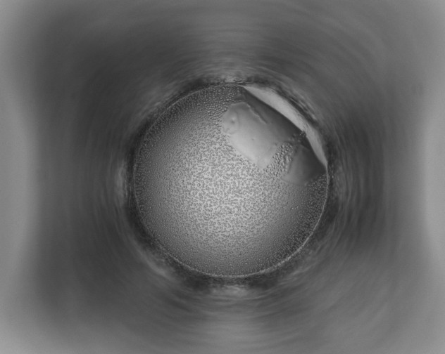 X0000113090594200909041150