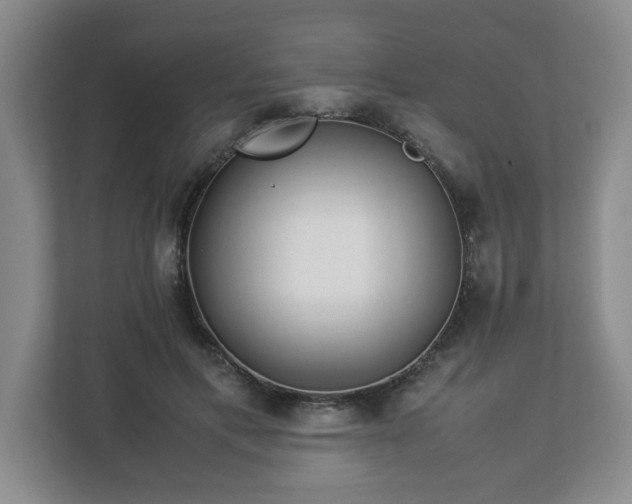 X0000113090597200909041150