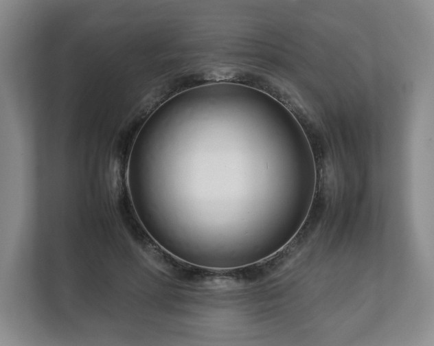 X0000113090598200909041150