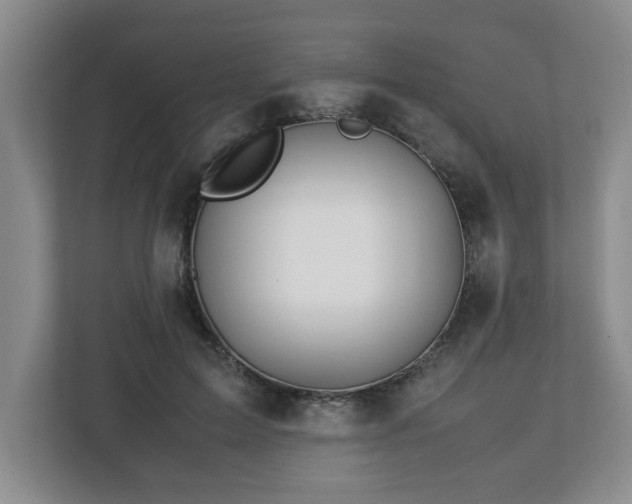 X0000113090599200909041150
