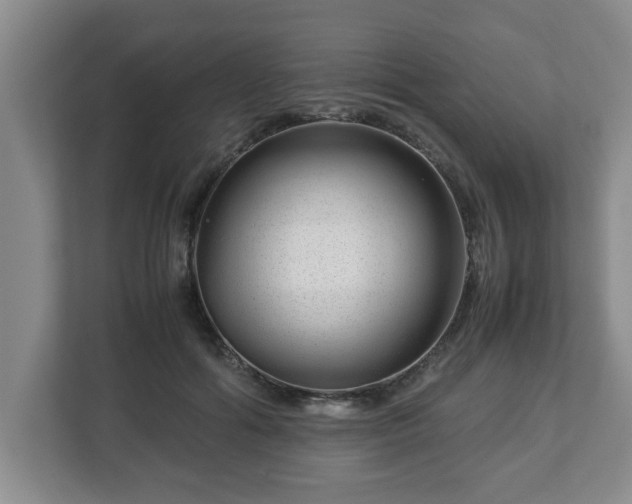 X0000113090602200909041150