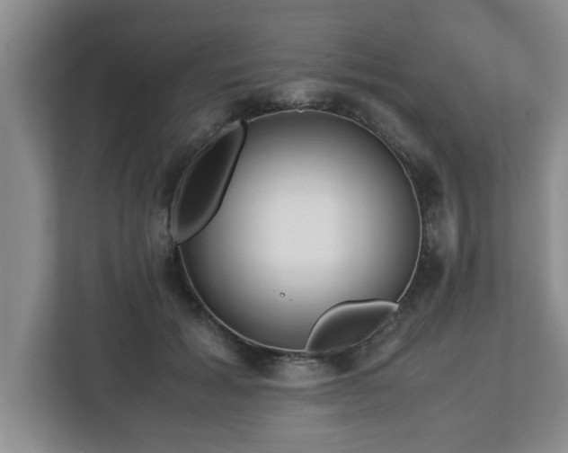 X0000113090605200909041150