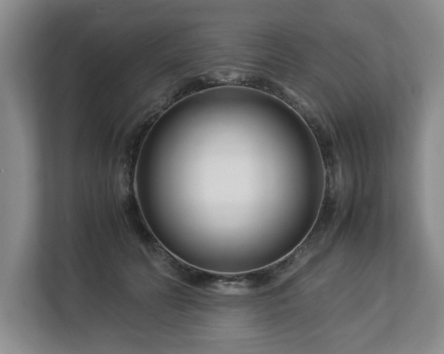 X0000113090606200909041150