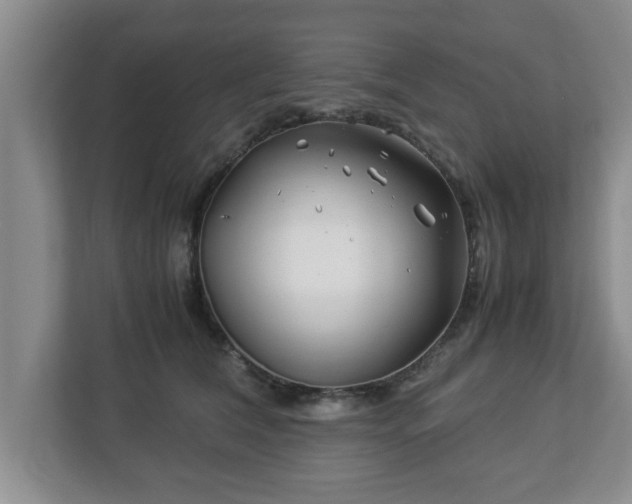 X0000113090612200909041150