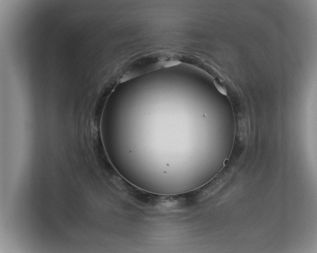 X0000113090613200909041150