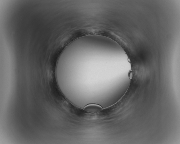 X0000113090615200909041150