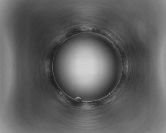 X0000113090616200909041150