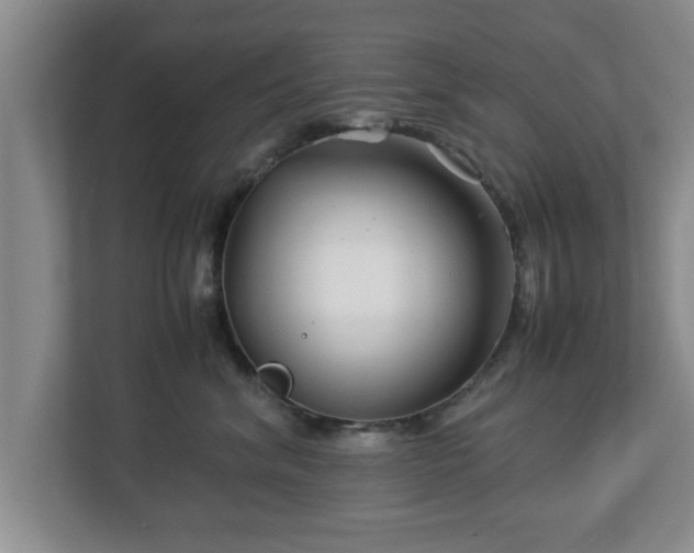 X0000113090620200909041150
