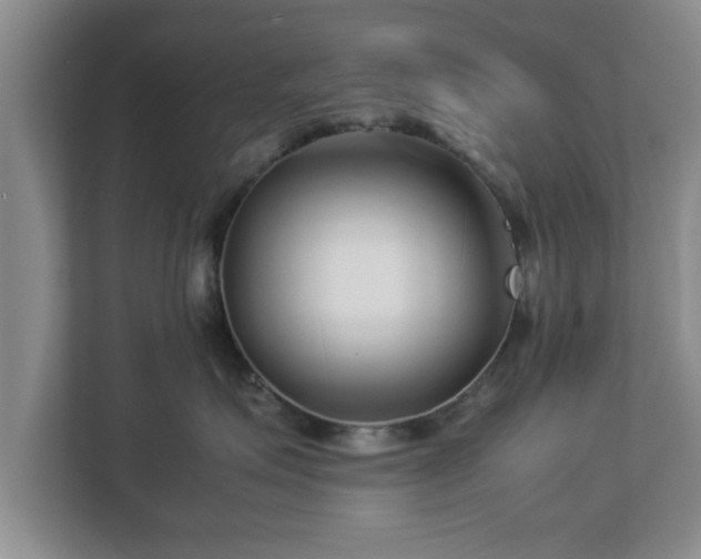 X0000113090623200909041150