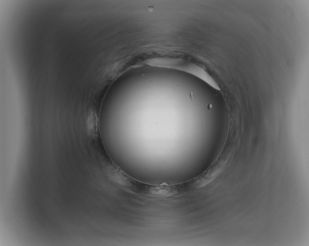 X0000113090624200909041150