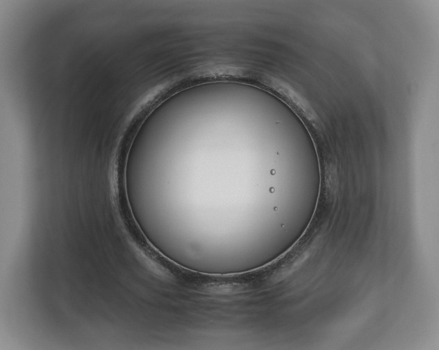 X0000113090629200909041149
