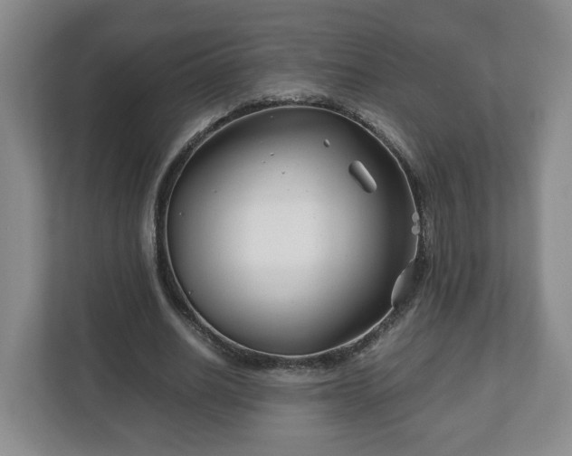 X0000113090630200909041150