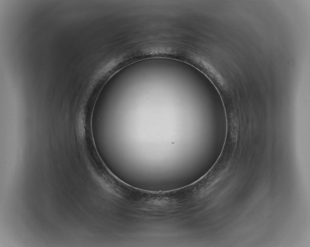 X0000113090631200909041150
