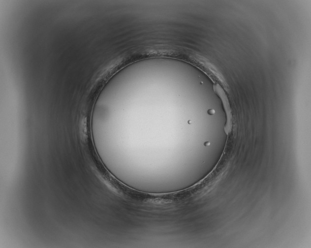 X0000113090633200909041150