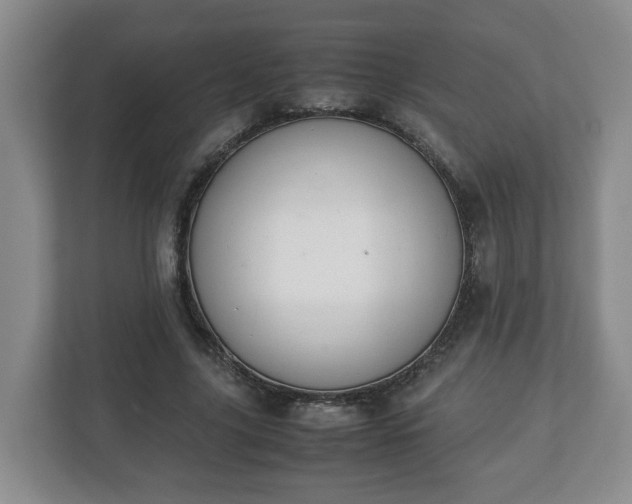 X0000113090635200909041150