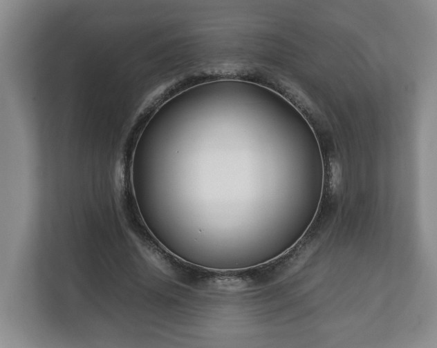 X0000113090636200909041150