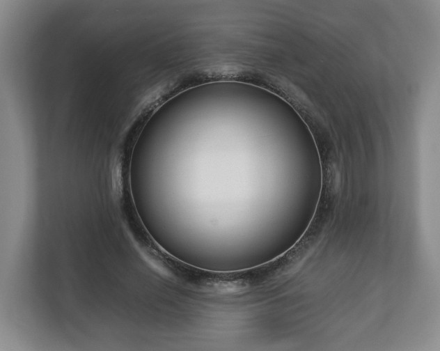 X0000113090638200909041150