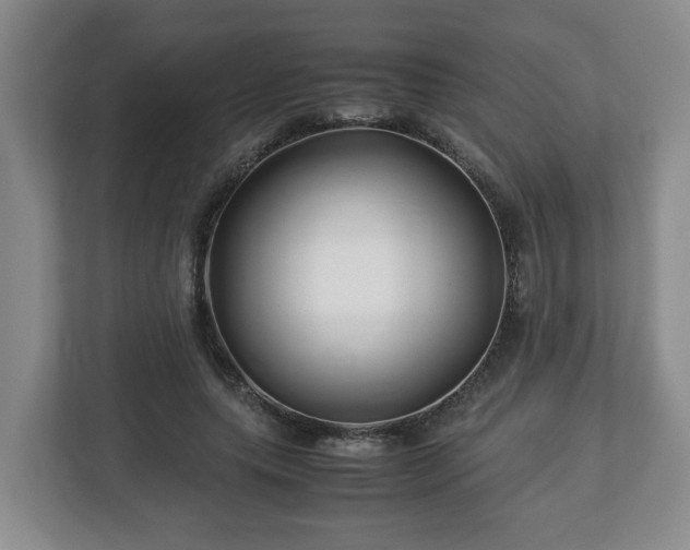 X0000113090639200909041150