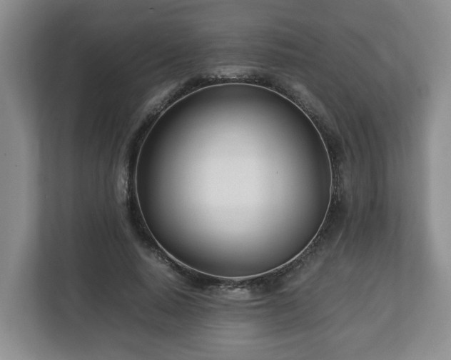 X0000113090640200909041150