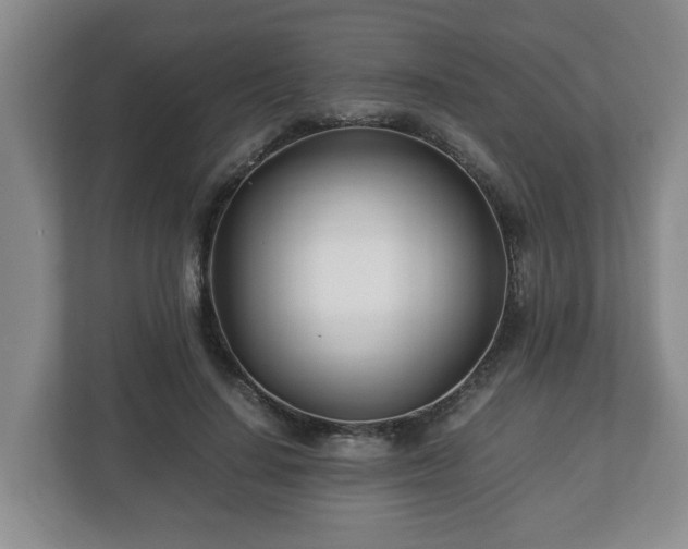 X0000113090644200909041150