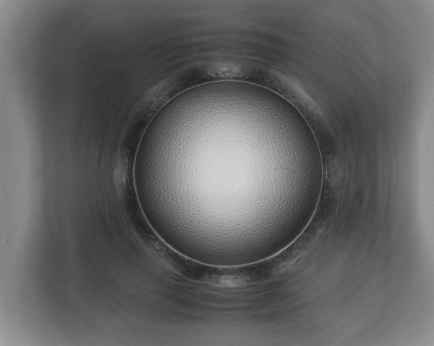 X0000113090645200909041150