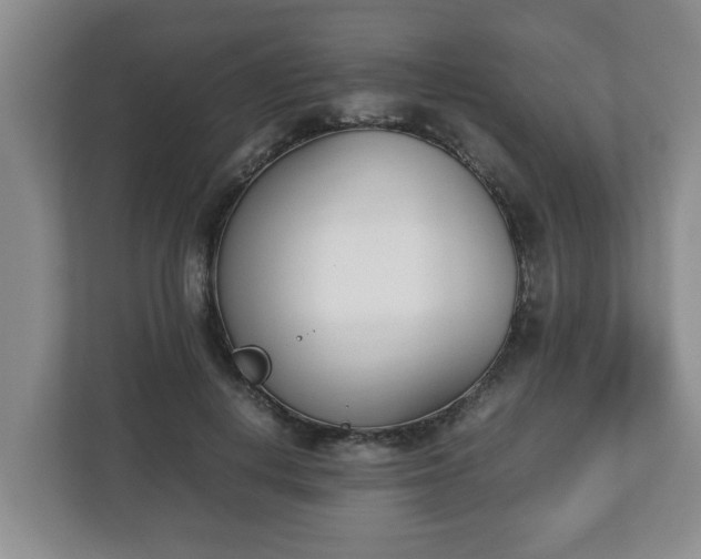 X0000113090648200909041150