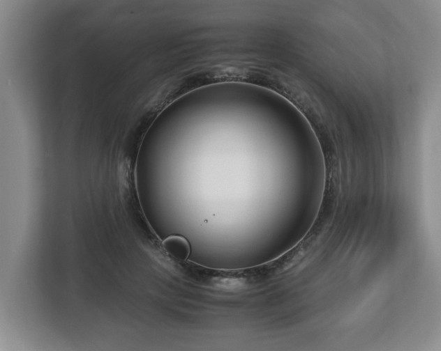 X0000113090649200909041150