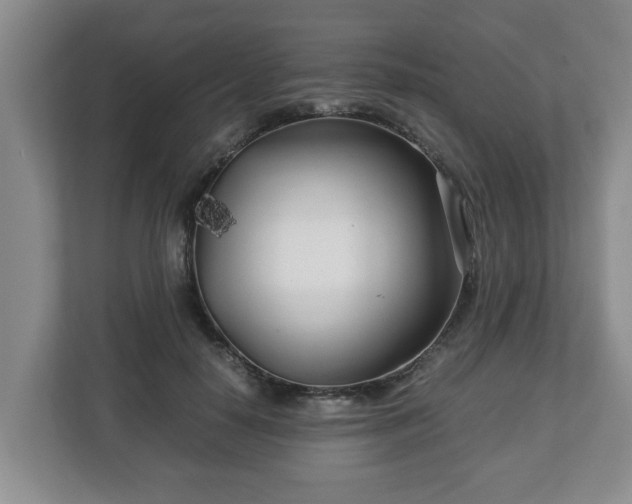 X0000113090650200909041150