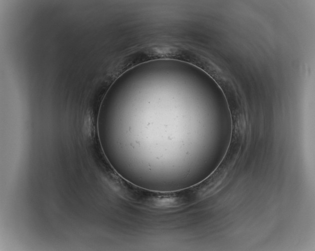 X0000113090651200909041150