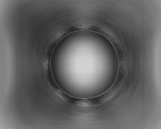 X0000113090652200909041150