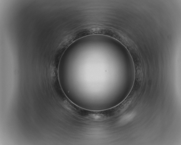 X0000113090654200909041150