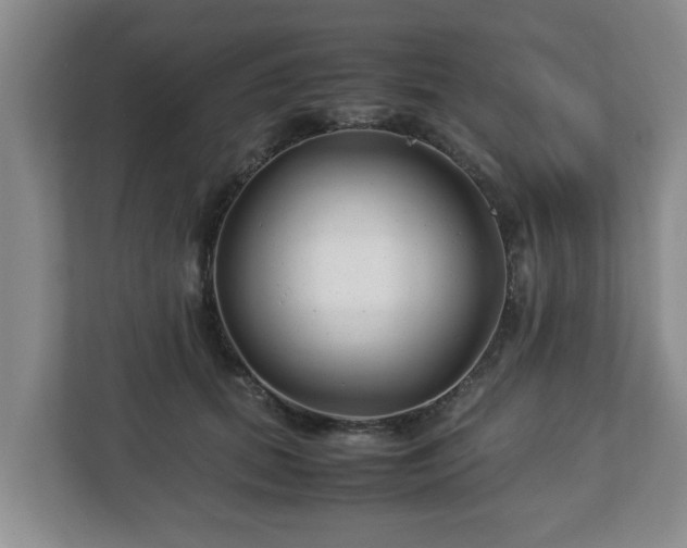 X0000113090655200909041150