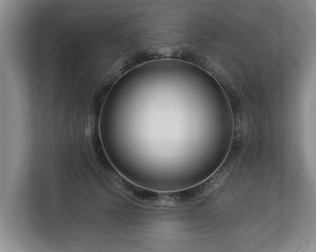 X0000113090656200909041150