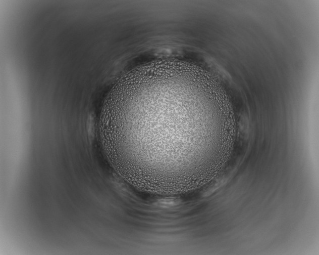 X0000113090659200909041150
