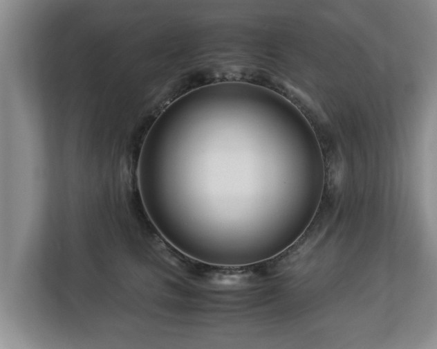 X0000113090661200909041150