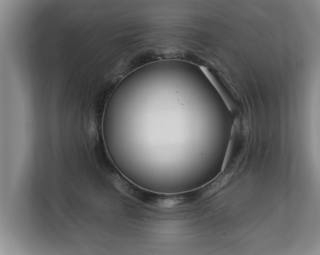 X0000113090662200909041150