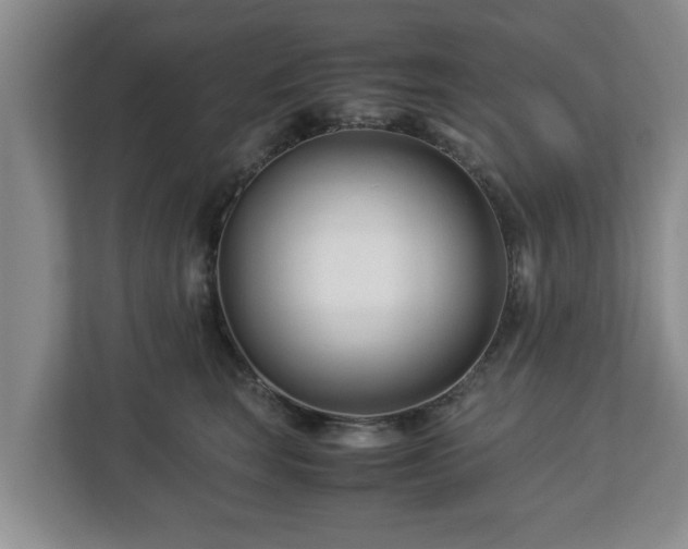 X0000113090663200909041150