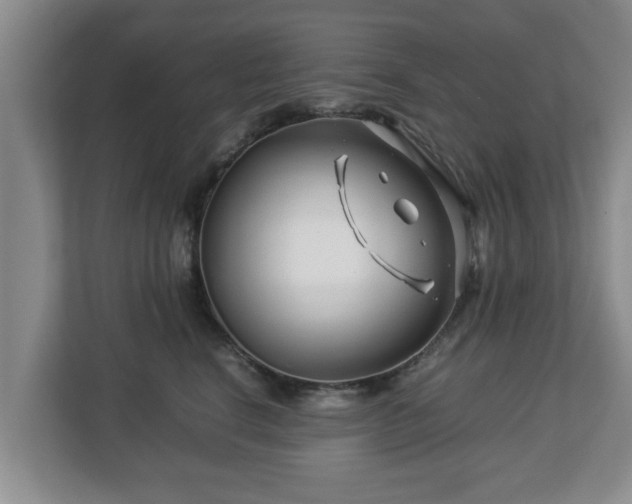 X0000113090664200909041150