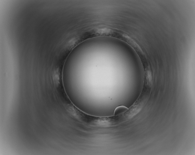 X0000113090668200909041150