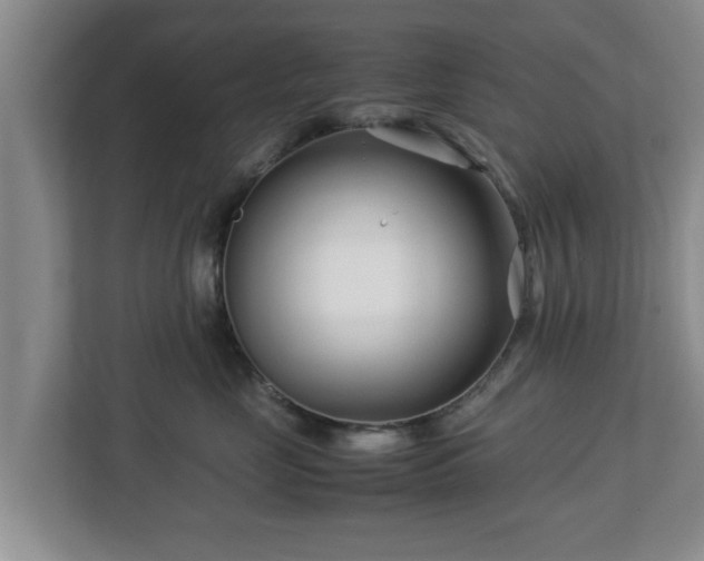 X0000113090669200909041150