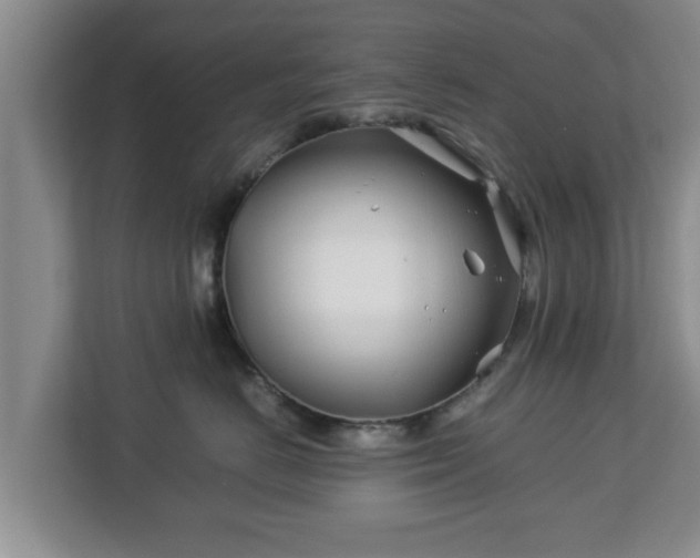 X0000113090670200909041150