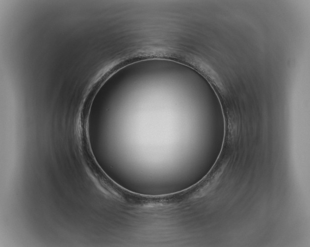 X0000113090674200909041149