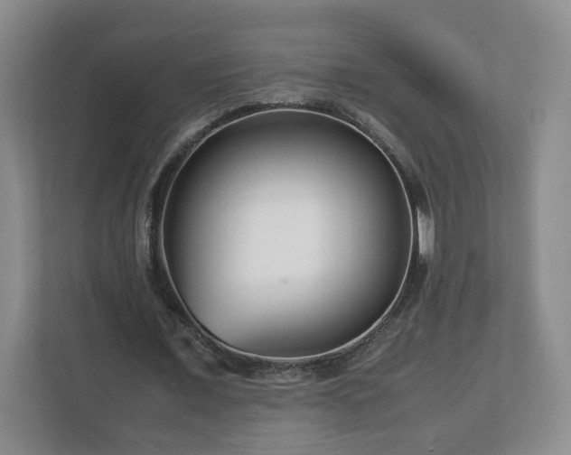 X0000113090675200909041149