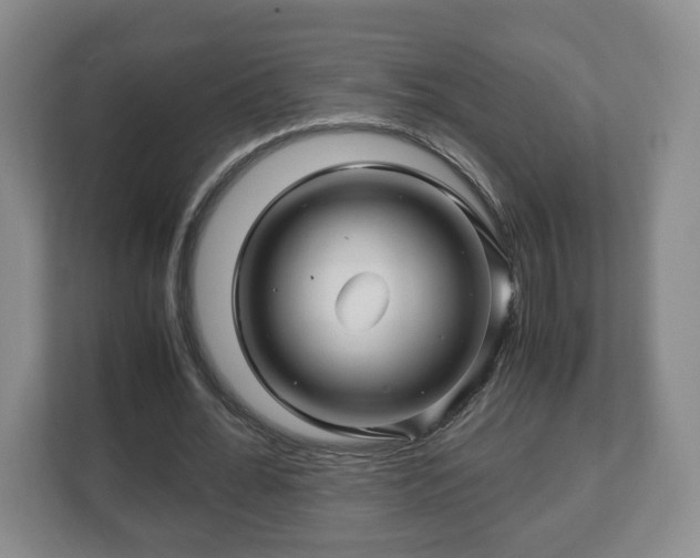 X0000113090676200909041149