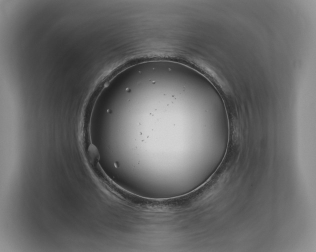 X0000113090677200909041149