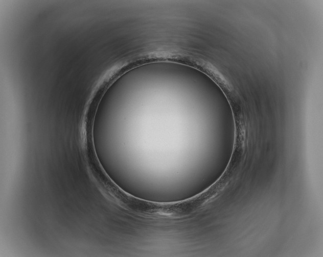 X0000113090678200909041149