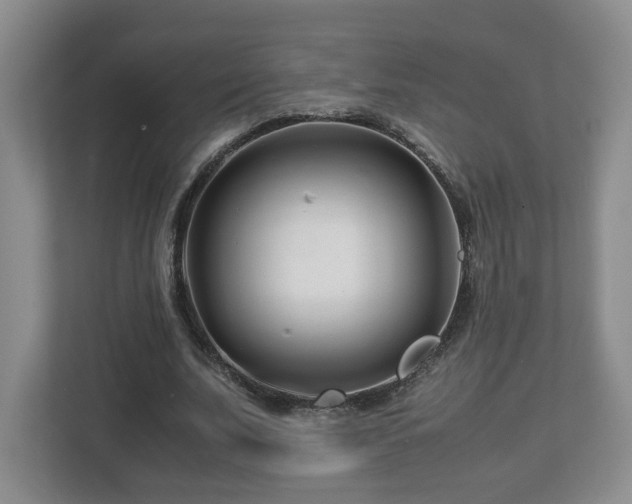 X0000113090679200909041149