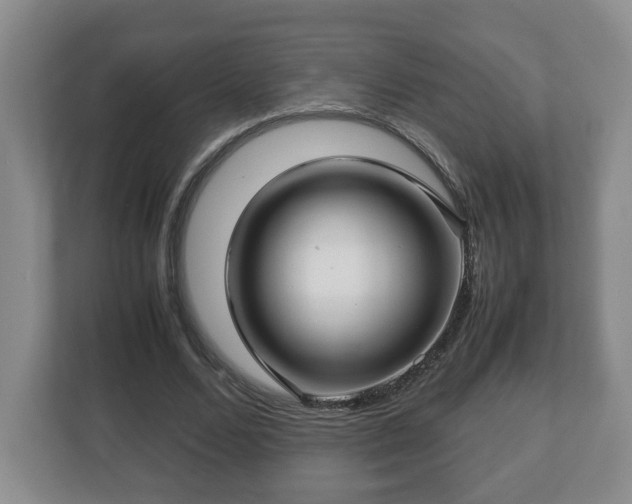 X0000113090680200909041149