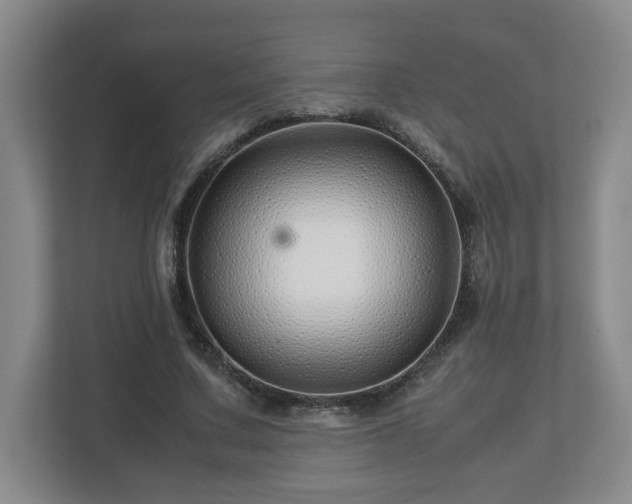 X0000113090683200909041149
